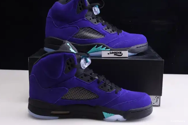 Kicktheory Jordan Grape Retro Alternate Air 136027-500 5 0531